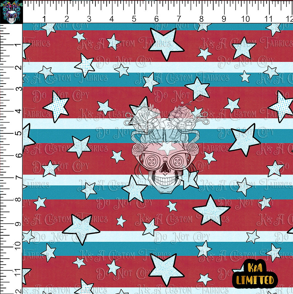 Experimental Heros-Shield Defender Stars Stripes Coord