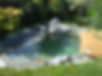 Natural Swimming Pool