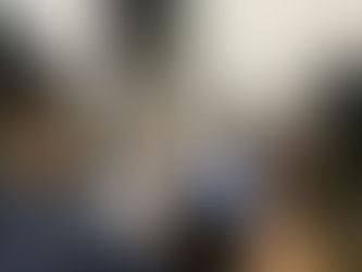 GRANDES BENEFICIOS DIRECCIÓN GENERAL DE SEGURIDAD PÚBLICA Y VIALIDAD COMALA