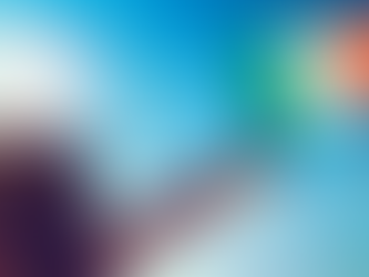 Datos de la bandera nacional