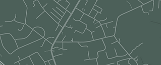 Newton Crt..png