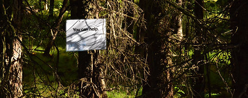 Trail Sign ????.jpg
