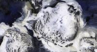seaicestudy1.jpeg