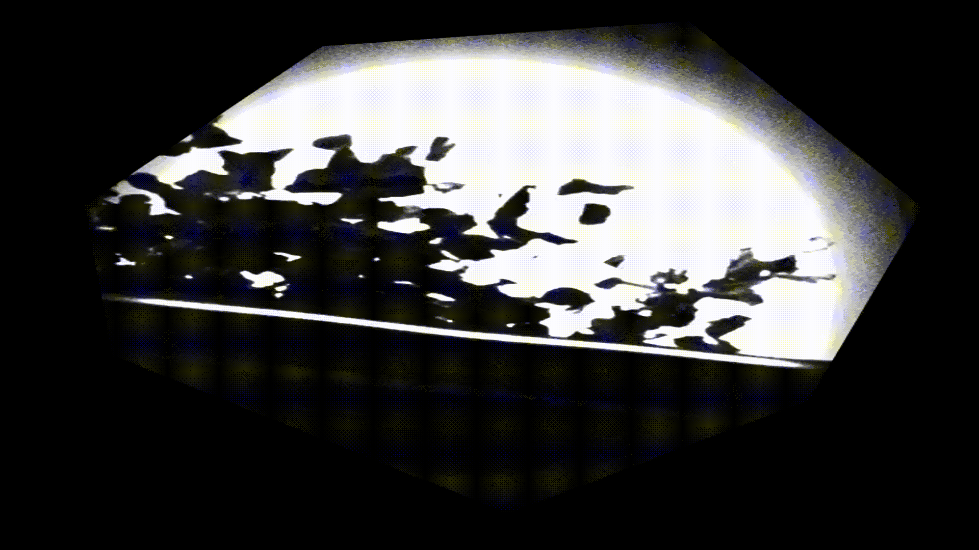 plants for website (online-video-cutter.com).gif