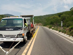 Transito amarilla Oaxaca12