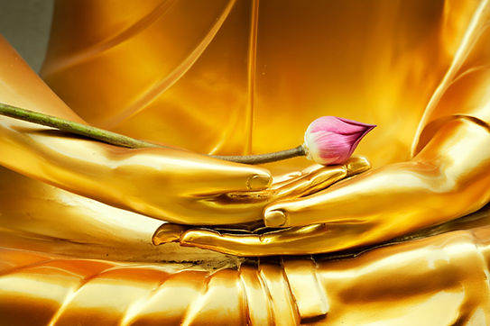 Buddha Ciao Bella Leadership