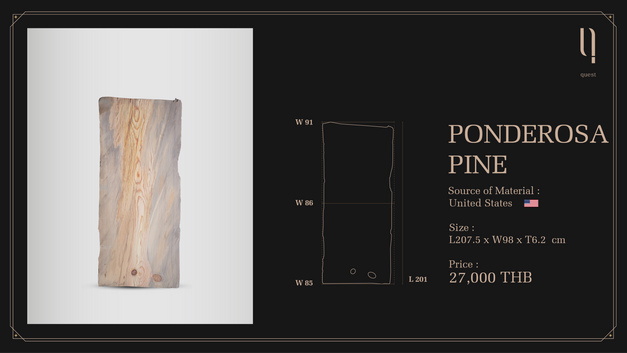 PONDEROSA PINE