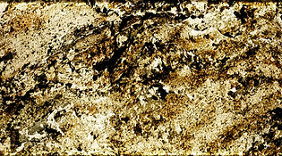 ML-T1013-2.jpg