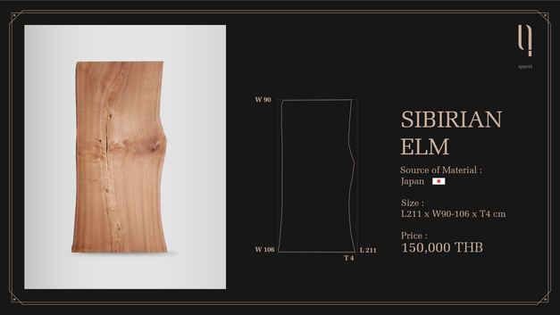SIBIRIAN ELM