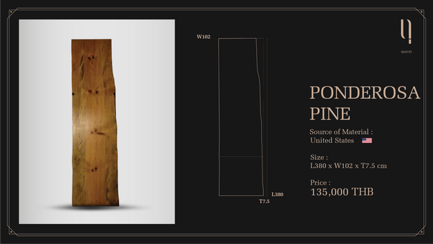 PONDEROSA PINE