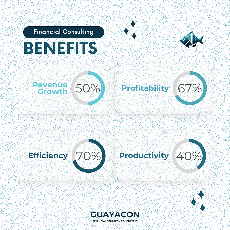 Financial Consulting