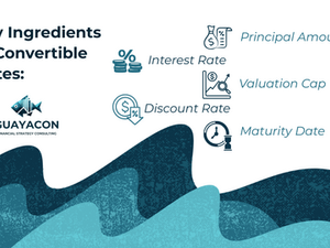 Convertible Notes: The Secret Weapon for Startup Success