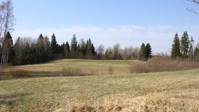 Skats uz Tulijas pilskalnu no ceļa puses (D). Foto: V.Grīviņš. 2019.gads.