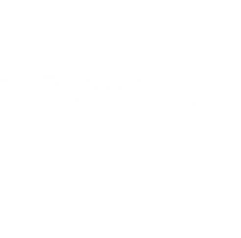 LVSA_vijole.png