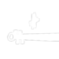 LVSA_vijole_edited_edited.png