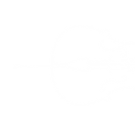 LVSA_cells.png