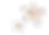 MINIRAVES Logos.png