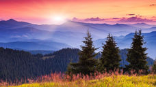 James 4:17 - Sin of Inaction