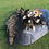 Thumbnail: Limited Edition - Halloween Wedding PAIR for 2 dogs