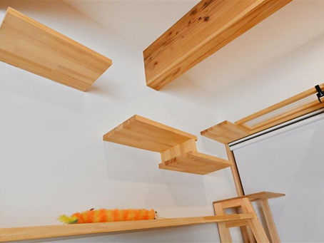 ペットも家族。だからこそ住まいから考える