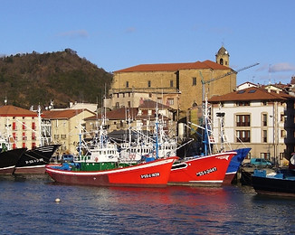 Orio.jpg
