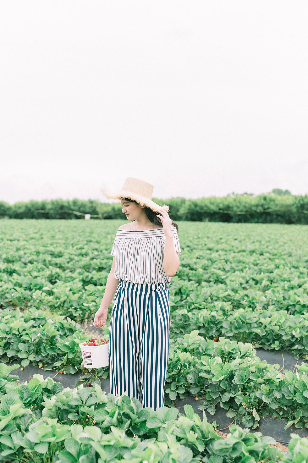 Strawberry-Peach-Picking-71