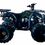 Thumbnail: Rider 10 125CC ATV