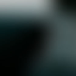 Salles vides, festivals pleins (Universitas)