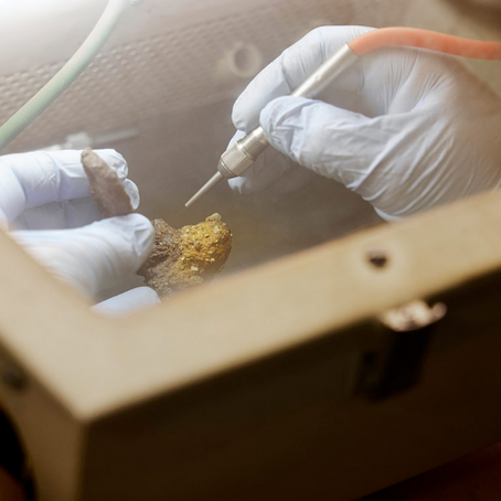 LÀ OÙ LES CLÉS DU PASSÉ SONT RÉVÉLÉES (Horizons)