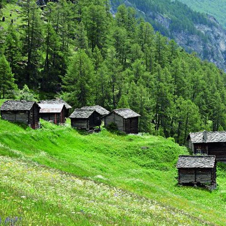 UN MAYEN NOMMÉ DÉSIR (Les Alpes)