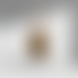 Jamón Iberium Salamanca