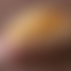 jamon iberico izquierdo