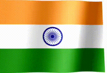 WhatsApp Video 2024-11-14 at 11.37.49.gif