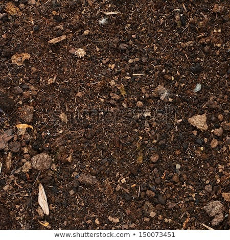 Thumbnail: 25 Litre Premium Composted Bark