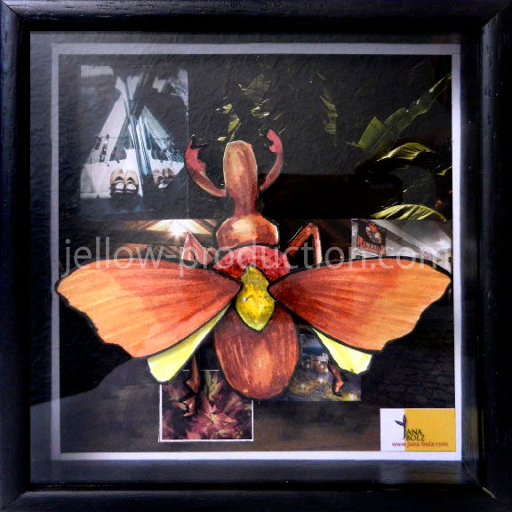 3D bugbox tropical W