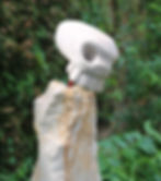 Skull closeup copy
