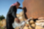 HCCS Jordanie-38.jpg