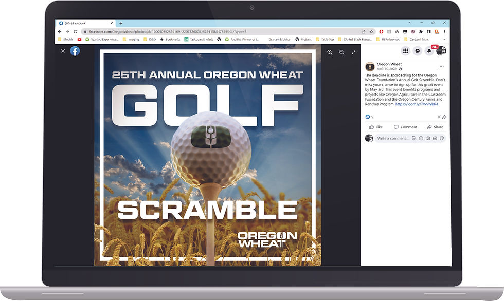 OWGL Laptop Mockup.jpg
