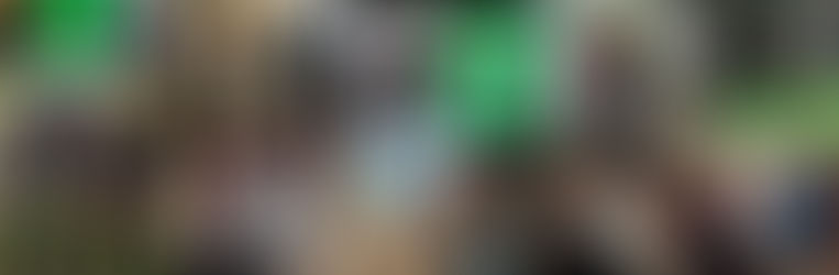 Photo collage of Devon Lyon working with professional athletes