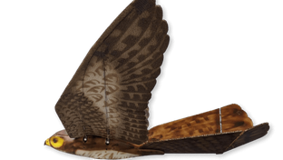 How Birds and Butterflies are Inspiring Drone Design