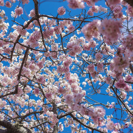 Another Day Another Photo - 106