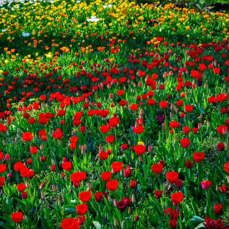 Another Day Another Photo - 133