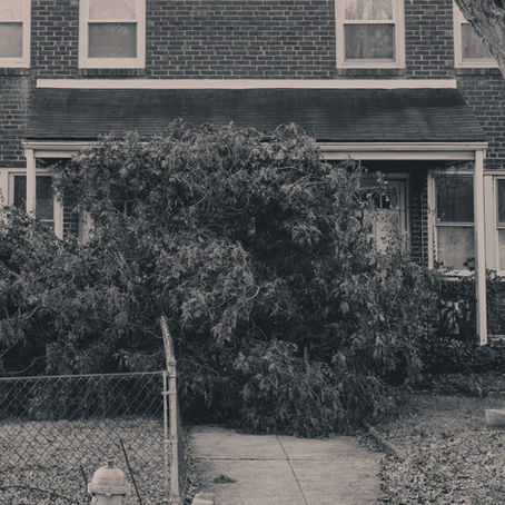 Another Day Another Photo - 85