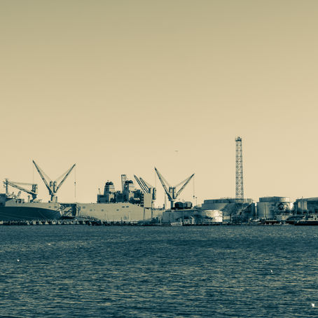 Another Day Another Photo - 89