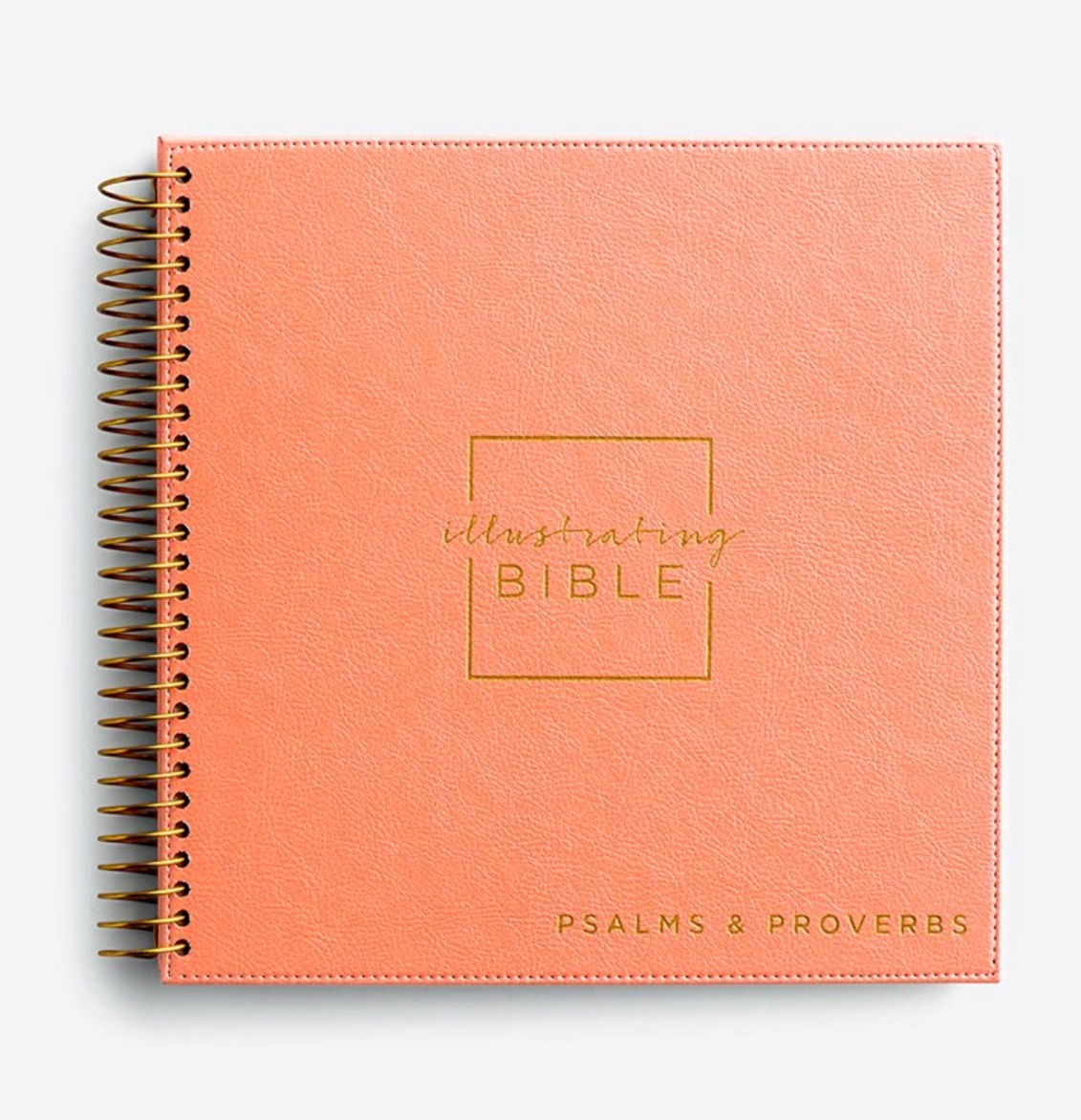 Psalms and Proverbs Illustrating Bible