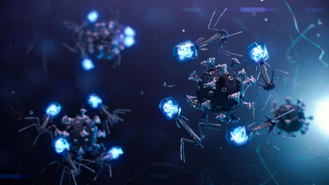 Bacteriophage-derived immunotherapy