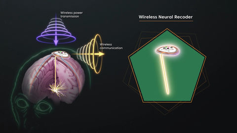 Stealthy Neural Recorder