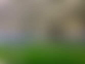 Heel Tough Blog: Best 2019 Spring Camp Battles