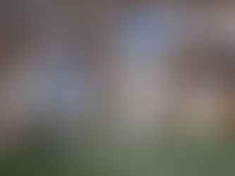 Heel Tough Blog: 2025 Position Previews- RB