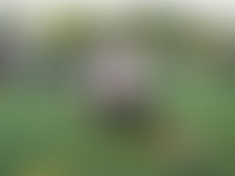 Heel Tough Blog: Tar Heels Lose Commitment From Top Prospect in 2027 Class